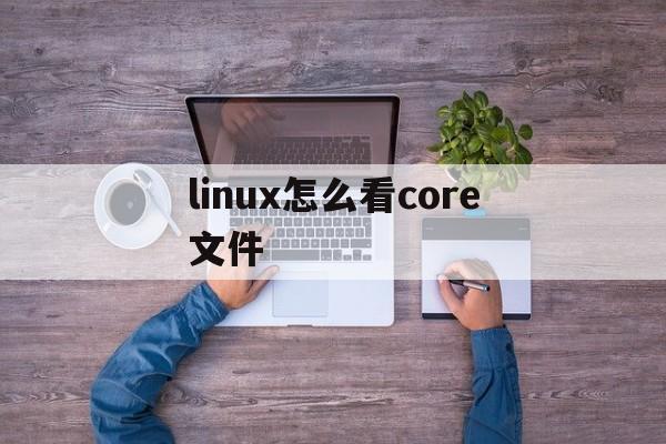 linux怎么看core文件(linux查看主机core文件路径)