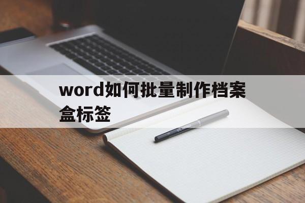 word如何批量制作档案盒标签(word如何批量制作档案盒标签格式)