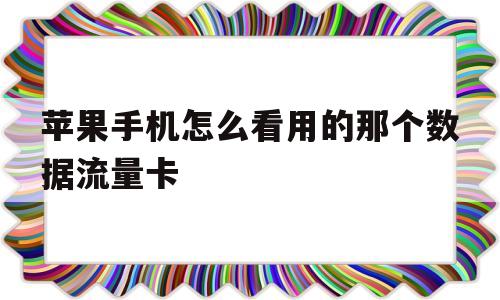 苹果手机怎么看用的那个数据流量卡(苹果手机怎么看用的那个数据流量卡了)