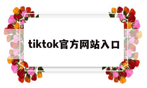 tiktok官方网站入口(tiktok官方网站入口账号)
