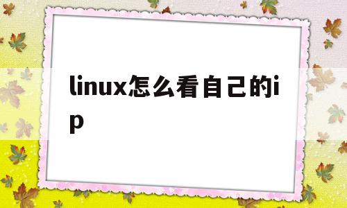 linux怎么看自己的ip(linux怎么看自己的版本)