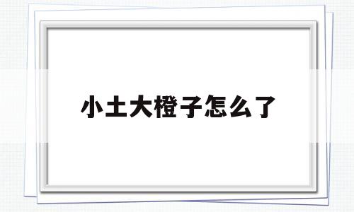 小土大橙子怎么了(小土大橙子 百度网盘)
