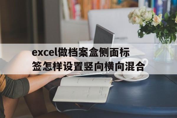 excel做档案盒侧面标签怎样设置竖向横向混合(excel做档案盒侧面标签怎样设置竖向横向混合页面)