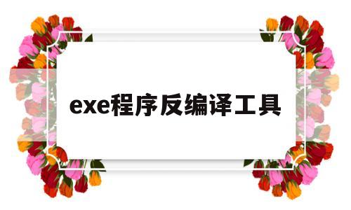 exe程序反编译工具(exe文件反编译源码工具)