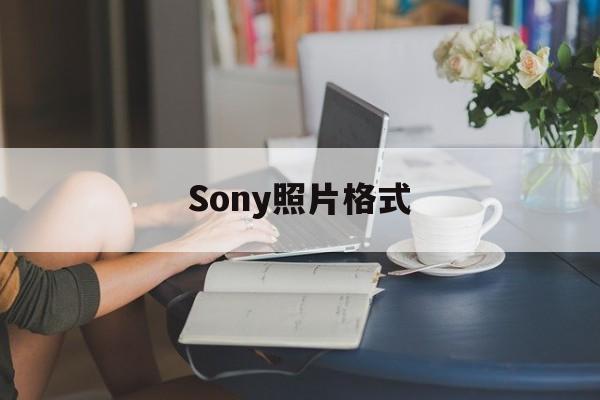 Sony照片格式(sony照片格式调整)