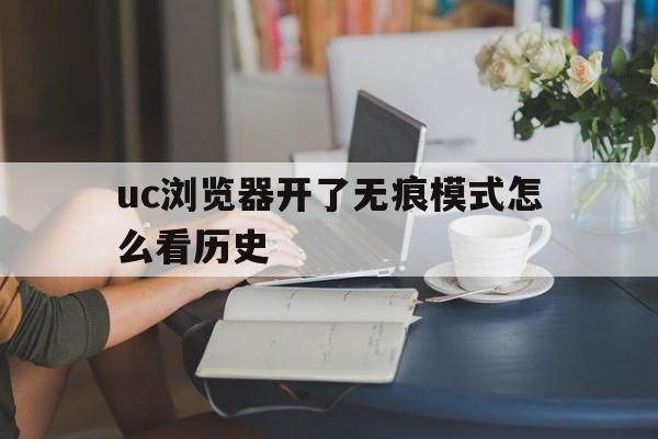 uc浏览器开了无痕模式怎么看历史(uc浏览器怎么关闭无痕浏览模式)