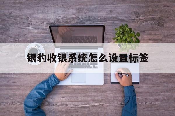 银豹收银系统怎么设置标签(银豹收银系统怎么设置标签信息)