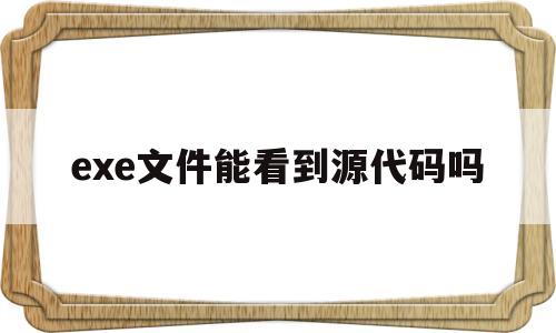 exe文件能看到源代码吗(exe文件能看到源代码吗手机)