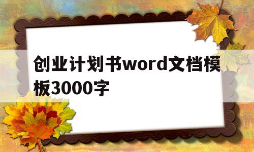 关于创业计划书word文档模板3000字的信息