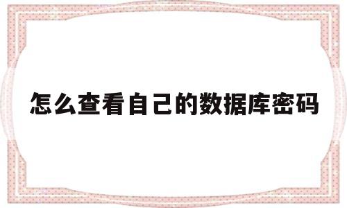怎么查看自己的数据库密码(怎么查看自己的数据库密码是多少)