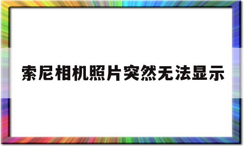索尼相机照片突然无法显示(索尼相机照片突然无法显示了)