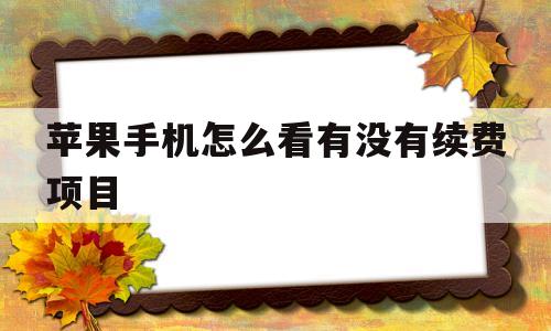 苹果手机怎么看有没有续费项目(苹果手机怎么看有没有续费项目功能)