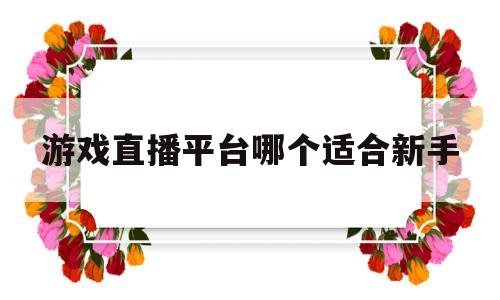 游戏直播平台哪个适合新手(游戏直播平台哪个适合新手玩)