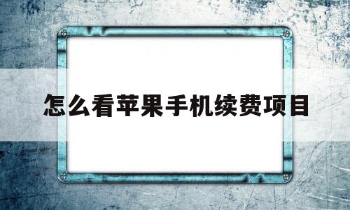 怎么看苹果手机续费项目(怎么看苹果手机续费项目信息)