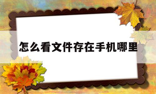 怎么看文件存在手机哪里(怎么看文件在手机里的位置)