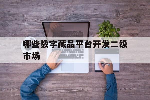 哪些数字藏品平台开发二级市场(哪些数字藏品平台开发二级市场可以做)