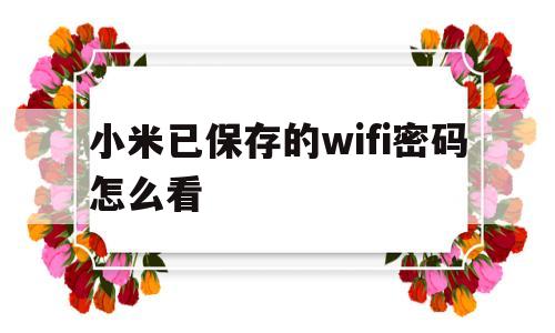 小米已保存的wifi密码怎么看(小米已保存的wifi密码怎么看到)