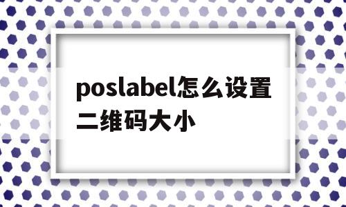 poslabel怎么设置二维码大小(poss机二维码收款二维码怎么打印出来)
