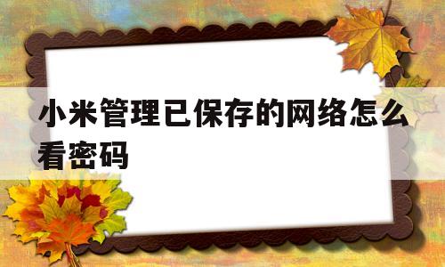 小米管理已保存的网络怎么看密码(小米手机怎样查看已保存网络的密码)