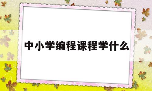 中小学编程课程学什么(中小学开设编程课程的意义)