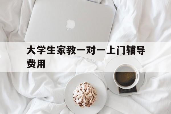 大学生家教一对一上门辅导费用(大学生家教一对一上门辅导费用番禺)