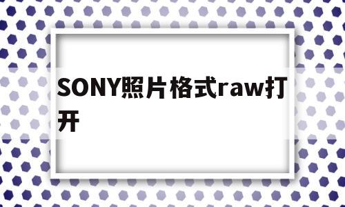 SONY照片格式raw打开(索尼照片格式rawjpeg是什么意思)