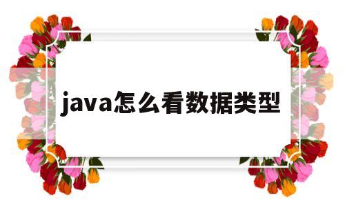 java怎么看数据类型(java查看数据类型的方法)
