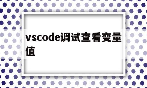 vscode调试查看变量值(vscode如何查看console内容)