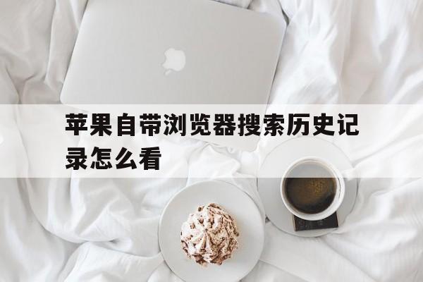 苹果自带浏览器搜索历史记录怎么看(苹果自带浏览器搜索历史记录怎么看不了)