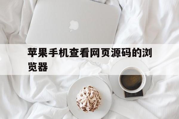 苹果手机查看网页源码的浏览器(苹果手机查看网页源码的浏览器在哪里)