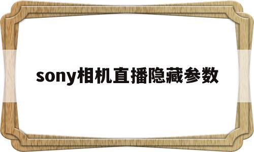sony相机直播隐藏参数(索尼相机直播如何不显示参数界面)