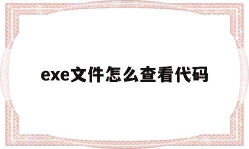 exe文件怎么查看代码(exe文件怎么查看代码信息)