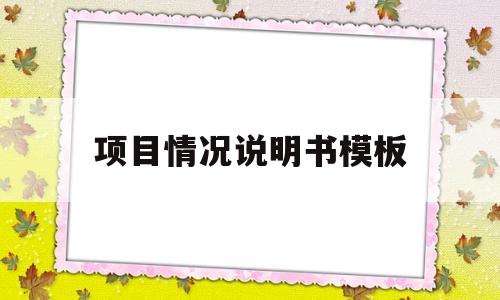项目情况说明书模板(项目情况说明是什么意思)