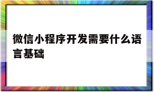 微信小程序开发需要什么语言基础(微信小程序开发需要什么语言基础知识)