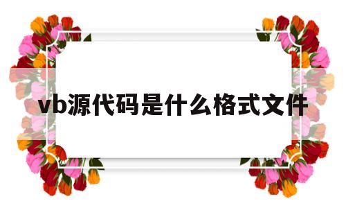 vb源代码是什么格式文件(vb源代码是保存在扩展名为什么的文件中)
