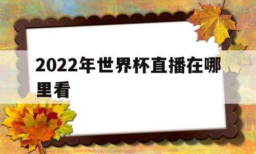 2022年世界杯直播在哪里看(2022年世界杯直播在哪里看回放)
