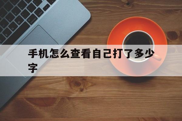 手机怎么查看自己打了多少字(手机怎么知道自己打了多少个字)