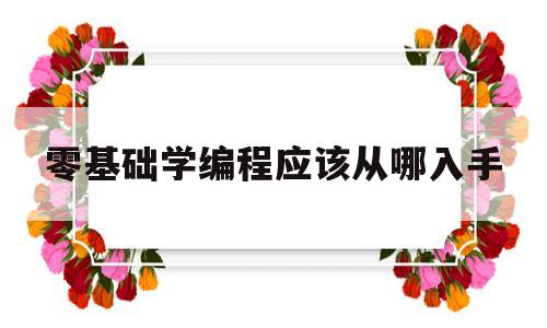 零基础学编程应该从哪入手(零基础学编程应该从哪入手 学哪种语言简单_有途教育)