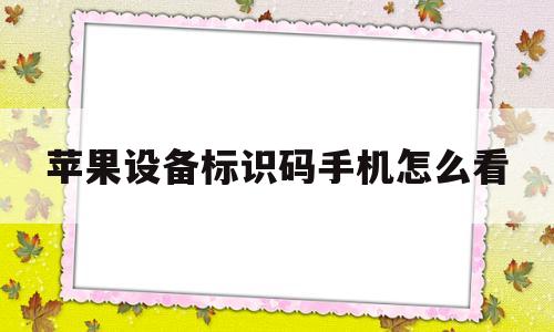 苹果设备标识码手机怎么看(iphone怎么看设备标识)