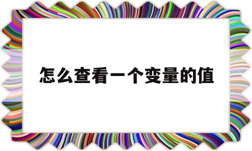 包含怎么查看一个变量的值的词条