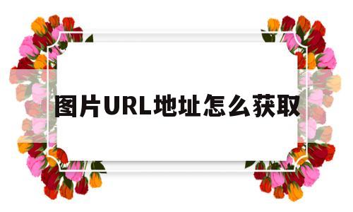 图片URL地址怎么获取(图片的url地址是什么意思啊)