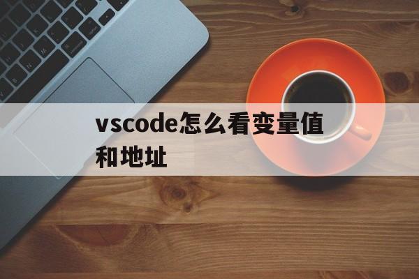 vscode怎么看变量值和地址(vscode如何查看console内容)