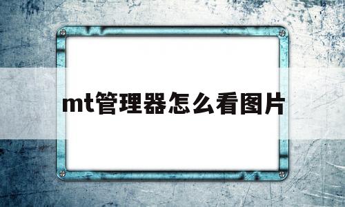 mt管理器怎么看图片(mt管理器怎么看图片代码)