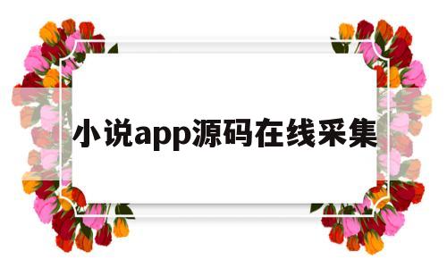 小说app源码在线采集(小说app源码在线采集网站)