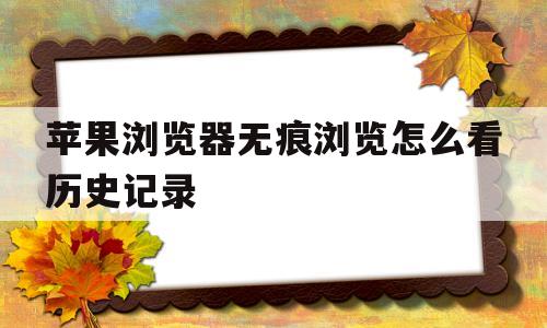 苹果浏览器无痕浏览怎么看历史记录(苹果浏览器无痕浏览怎么看历史记录呢)