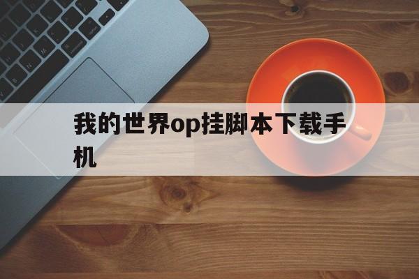 我的世界op挂脚本下载手机(我的世界手机版op挂脚本下载)