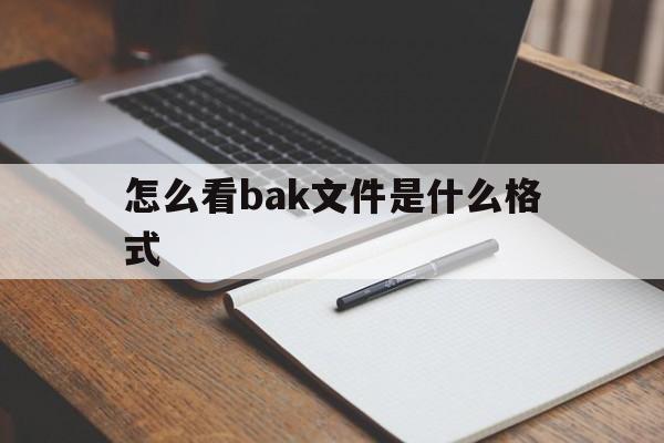 怎么看bak文件是什么格式(怎么知道bak文件是什么类型的文件)
