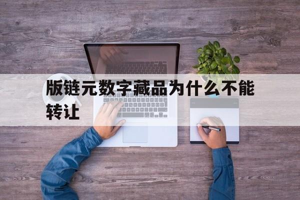 关于版链元数字藏品为什么不能转让的信息