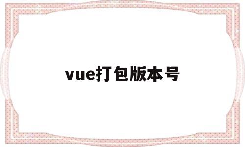 vue打包版本号(vue打包加版本号)