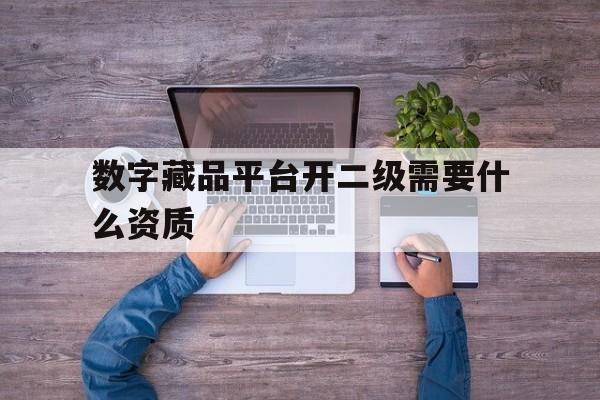数字藏品平台开二级需要什么资质(数字藏品平台开二级需要什么资质才能开)